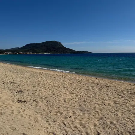 Vesanos Mezonet *