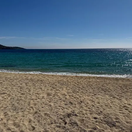 Vesanos Mezonet * Toróni