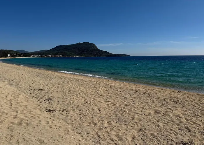 Vesanos Mezonet *