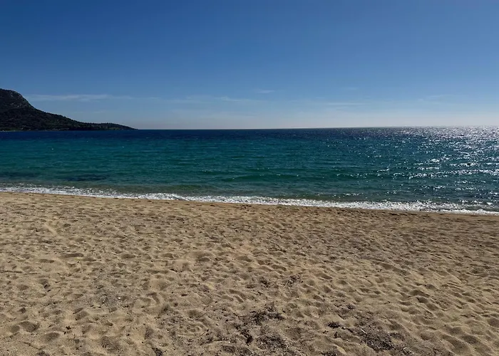 Vesanos Mezonet * Torone